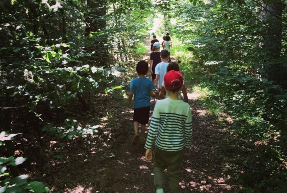 Green wherever you look: Kids can find themselves in the forest.