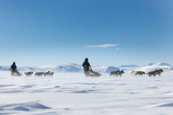 Hundeschlitten-Expedition in arktischer Landschaft von Fjällräven