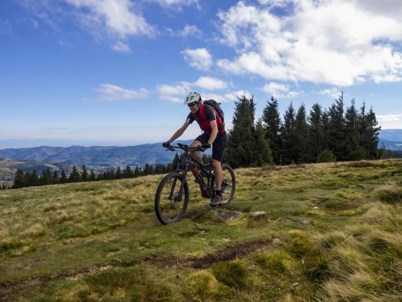 Tests können auch Räder betreffen, denn der Absatz von Fahrrädern und E-Bikes steigt weiter.