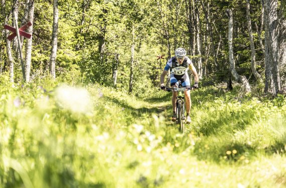 Den Areskutan hinab schießen die Radler der Are Extreme Challenge.