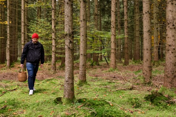 Food expert Sven Christ collecting mushrooms