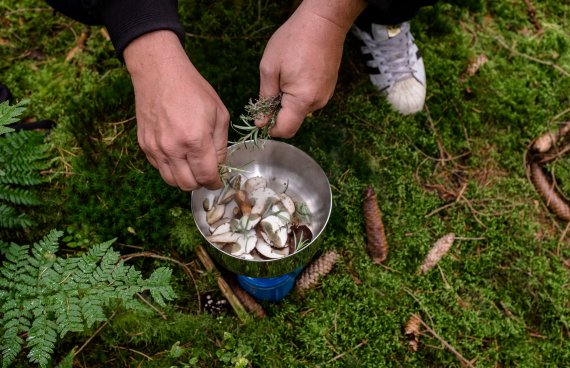 After cleaning, the mushrooms are fried with herbs