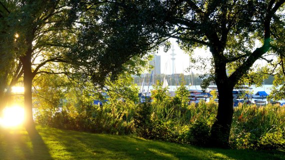 Wandern im Grünen – am Alstersee in Hamburg